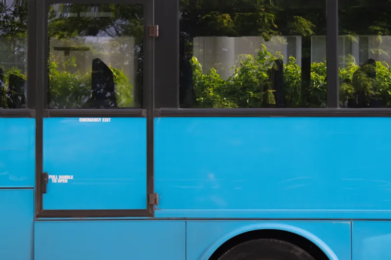 Shrubs on bus. 2024.